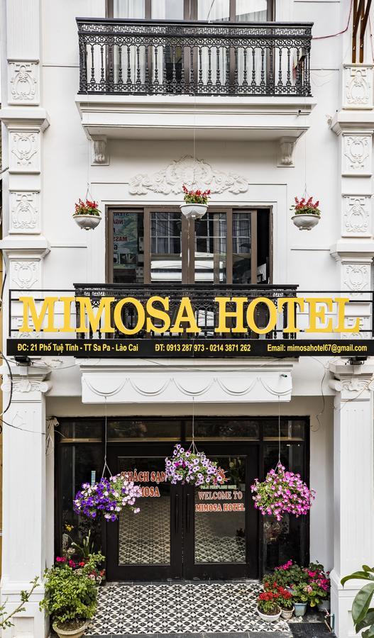 Mimosa Hotel Sapa Exteriér fotografie